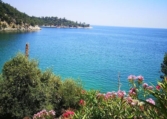 Casa vacanze Bel Air *